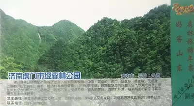 Jinan scenery Mingming letter film 3 kinds