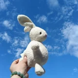 Милый кролик, кукла, плюшевая игрушка, популярно в интернете, подарок на день рождения
