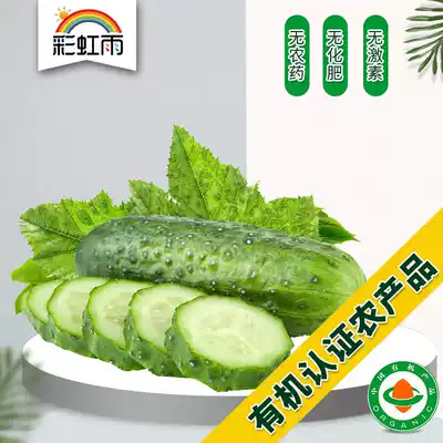 Rainbow Rain Farm fresh organic vegetables Autumn Cucumbers Dry cucumbers 250g Beijing, Tianjin and Hebei Manbai