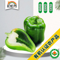 Rainbow rain farm distribution organic vegetables green round green pepper 250g national delivery full amount