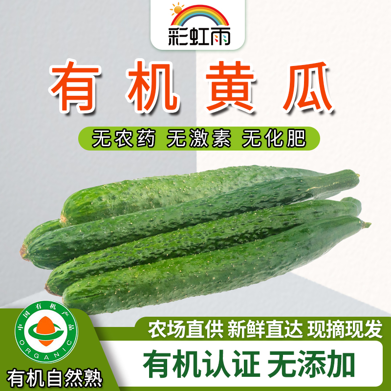 Rainbow Rain Farm distributes fresh organic vegetables and cucumbers 500g Beijing, Tianjin and Hebei Manbai