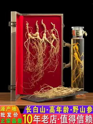 Northeast Jilin Changbai Mountain ginseng Wild mountain ginseng first-class ginseng 20 years wild forest ginseng Fresh people three dry goods bubble wine