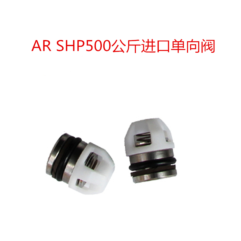 Italian Ar High-Pressure Cleaning Machine Door Set Accessories Imported Pump Head Spare Parts Matching One-Way Valve Shp22.50