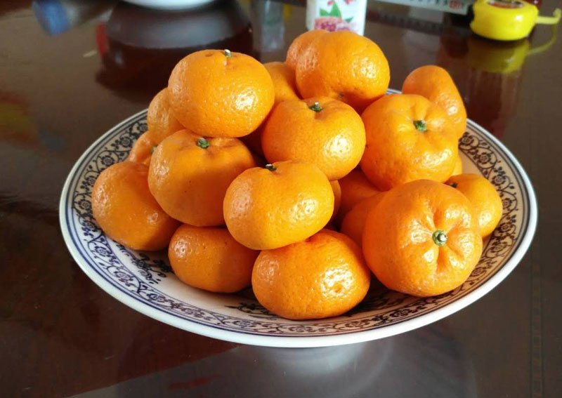 9 inch chân cao gốm tấm trái cây màu xanh và trắng nhà bánh ngọt trái tim cho Đức Phật món ăn cổ điển trang trí bộ đồ ăn - Đồ ăn tối khay đựng thức ăn