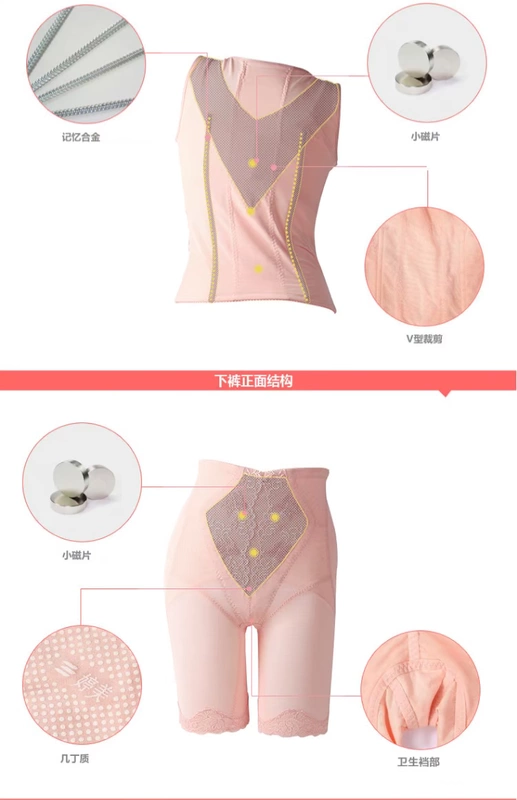 Tingmei corset bụng eo sakura cảm giác động lực đẩy chất béo gợi cảm sang trọng sau sinh giảm béo đồ lót chia nhỏ