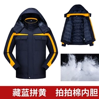 Тибетская голуба