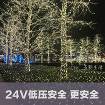 LED low-voltage outdoor waterproof light string 24V light with net red small color light flashing light string light all over the sky for the New Year