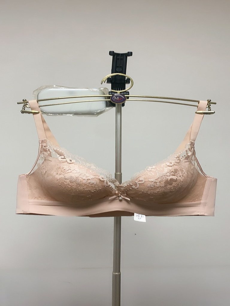 2020 Spring/Summer Ladies Soft Steel Ring Julong Lace Small Bra 20812003 20612003