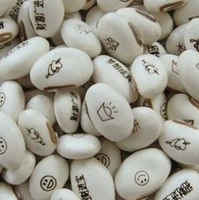 Белая фасоль случайно