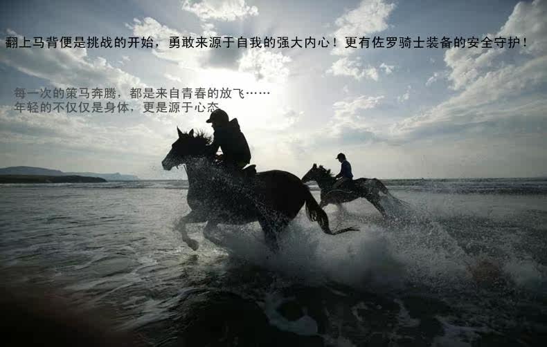 Article sports equestres - Ref 1380633 Image 6