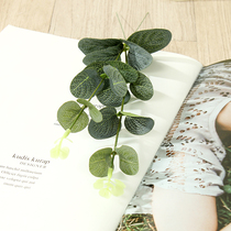  Money leaf eucalyptus simulation green plant single flower arrangement bottle pastoral set Wedding soft outfit