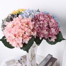  European-style high-end 11-fork floral hydrangea DIY mini simulation flower fake flower arrangement decoration wedding collocation