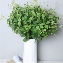  Clematis leaves Simulation leaves Simulation plants Green plant flower arrangement accessories Green plant wedding honeysuckle leaves