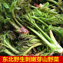 2021 Northeast wild thorn Bud wild wild vegetables fresh Thorn Dragon Bud mountain vegetable king green food 3kg