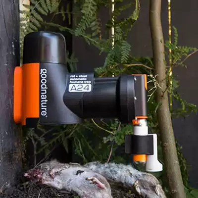 New Zealand Goodnature A24 original imported automatic intelligent rodenticizer home physical mousetrap