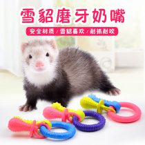 Pet Marten toy rubber ring gnawing supplies ferret pacifier bone circle three-in-one super bite resistant