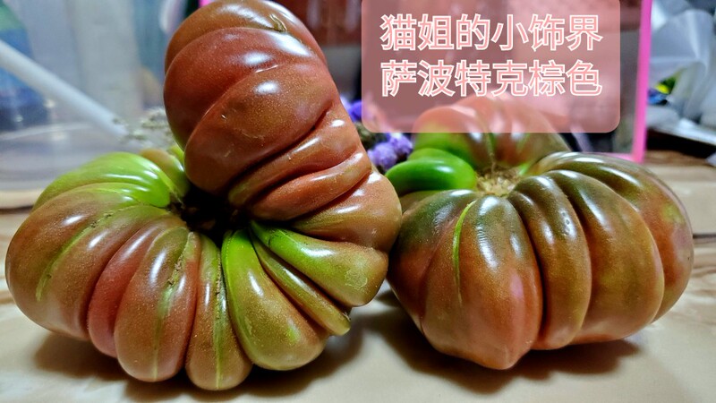 Cat Sister's Baby - 191 Sapperterke Brown Tomatoes, Large Wrinkled Tomatoes, 39 Pieces, Free Shipping in Most Areas
