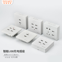 Ming Dynasty USB220V to 5V 4-bit 2-bit USB Phone Charging Light Construction Site Dormitory 36V Low Voltage Panel Plug