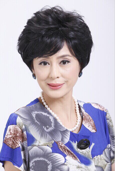 Perruque OTHER   cheveux courts - Ref 2609062 Image 28