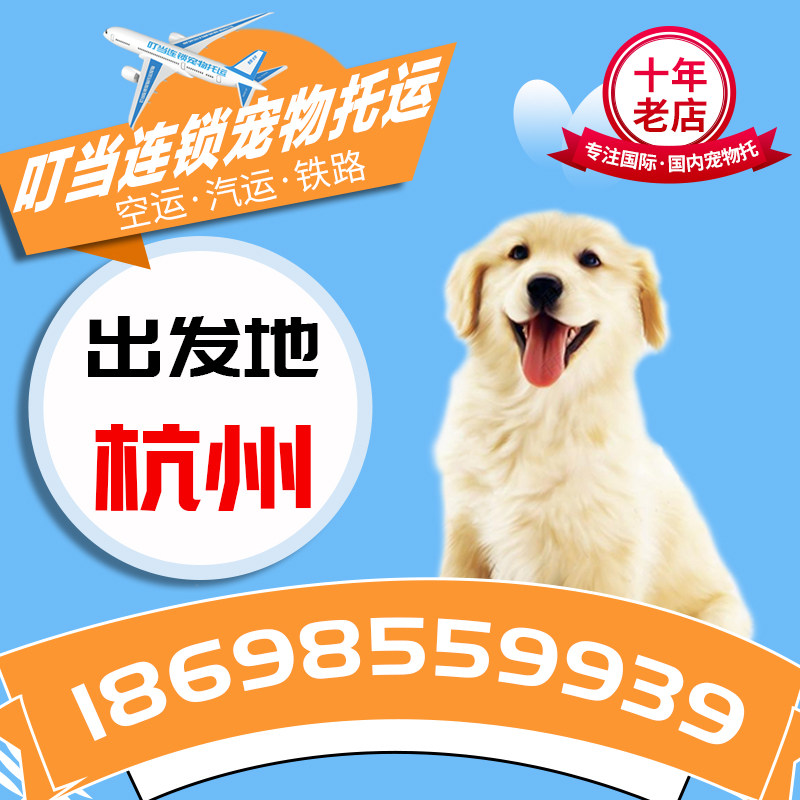 Ding When Hangzhou Pet Pets can pay for a plane train car a dragon service