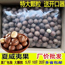 Summer fruits Hawaii Fruit Fat whole boxes 5 catties Cream Taste Bulk Large grain 500g bagged pregnant women nuts 10 kilos