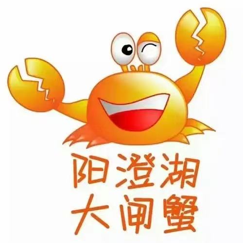 阳澄湖精品大闸蟹