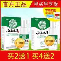 Buy 2 get 1 Research Yunnan herbal gallnut oral spray