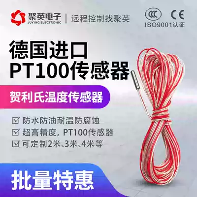 German imported spot PT100 platinum resistance thermal resistance temperature monitor PT100 temperature sensor high precision