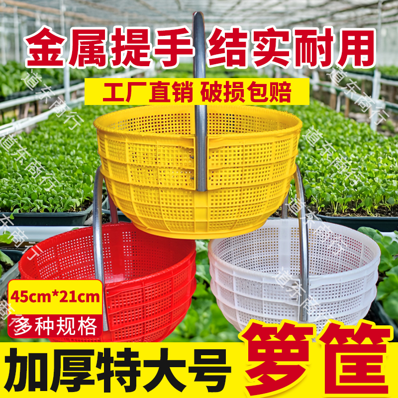 大号水果采摘篮：让丰收不再沉重