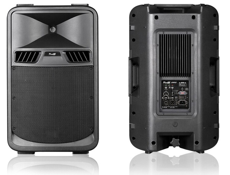 (total agent line goods) Fluid-Audio GSR12 active flared sound box one