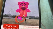 5m Strawberry Bear Kite Pendant Software Inflatable Kite