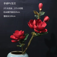 4 Большой Магнолия-Ред