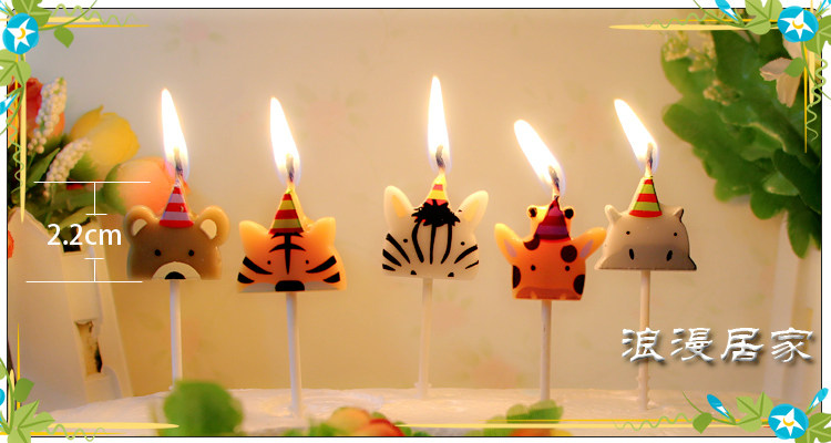 Bougie - Ref 2493814 Image 4