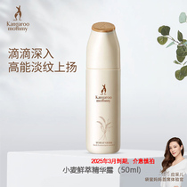 Kangaroo Mom Pregnant Women Skin Care Products Cosmetics Hydrating and Moisturizing Base Essence Special Essence for Pregnant Women