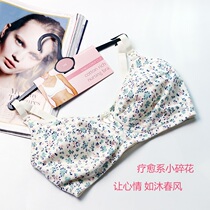 Large size feeding breastfeeding bra baby breather breathable thin summer cotton no steel ring during pregnancy on CDEF Cup