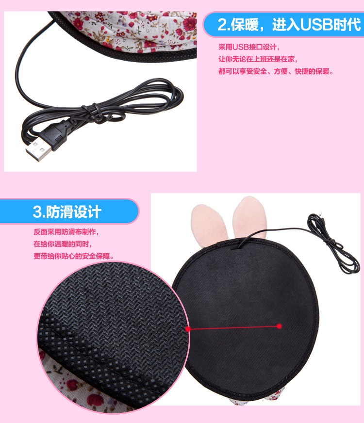 Coussin chauffant USB Le Japon et la Corée du Sud - Ref 426600 Image 24