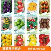 Tomato Seed Western Red Persimmon Rapeseed Outdoor Indoor Balcony Potted Season Courtyard Garden Terrace Vegetable Seeds