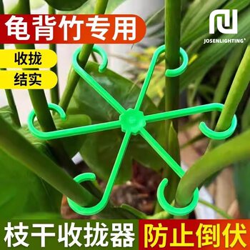 Monstera Plant Support Frame to Prevent Toppling, Spring Leaf Plant Stand, Branch and Stem Organizer, Flower Pot Stand, Gardening Flowers, Caladium Green Plants