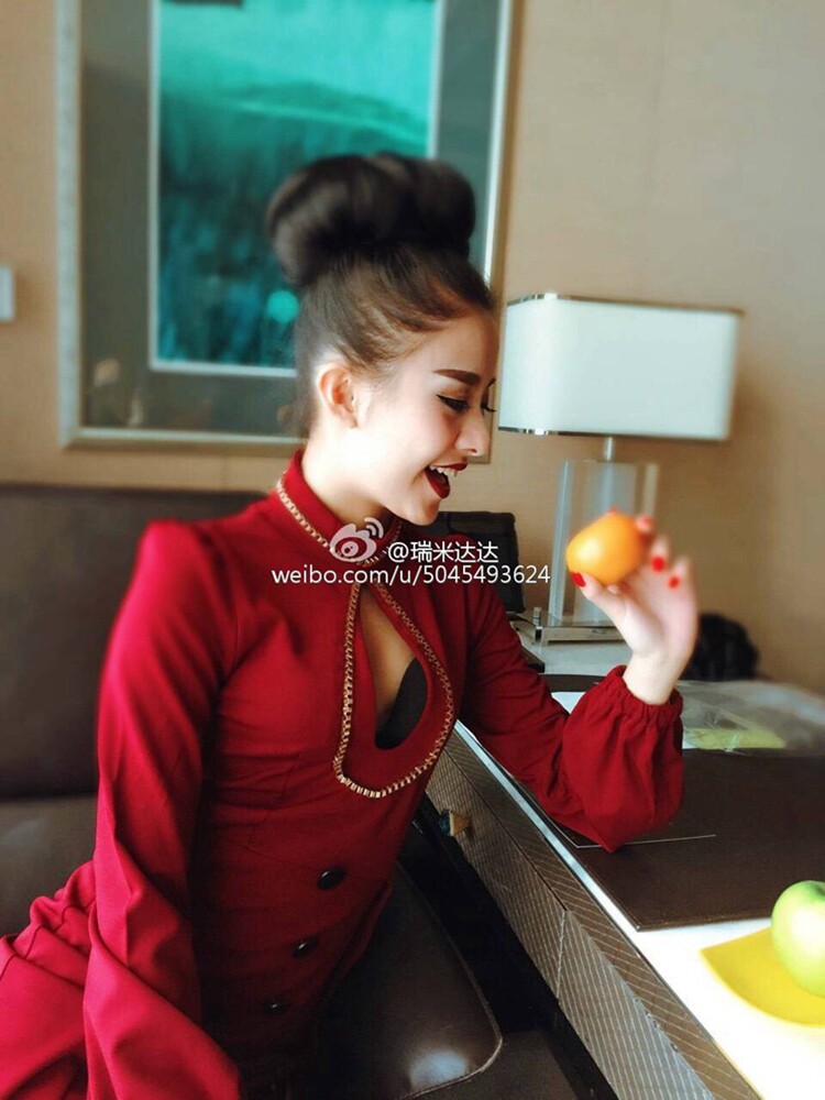 Extension cheveux - Chignon - Ref 248041 Image 30