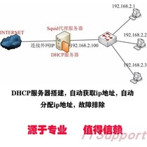 DHCP server setup Automatically obtain ip address Automatically assign ip address Troubleshooting