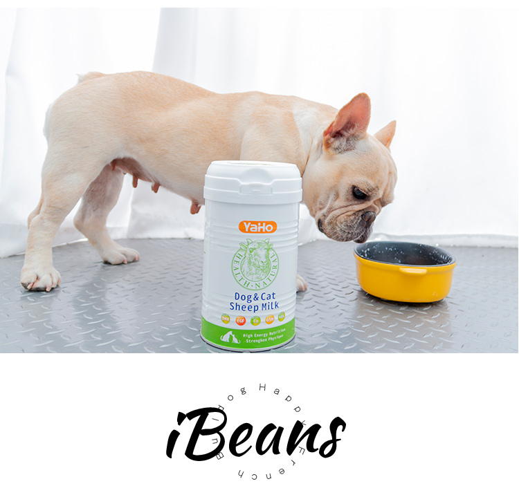 Yahe pet sữa dê sữa chó con sơ sinh mèo con bổ sung canxi cung cấp luật Teddy sữa bột 300g - Cat / Dog Health bổ sung mèo uống sữa gì
