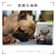 Dog Snacks Teeth Stick Bone Bite-Resistant Mengbei Crispy Beef Wrist Bone 60g Teeth-Building Teddy Pet Bone-Building Calcium