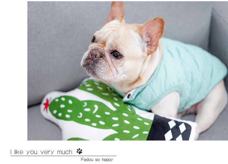 Quần áo chiến đấu chó quần áo mùa thu và mùa đông ấm áp Ba Ge Keji Teddy quần áo thú cưng dày bông vest vest - Quần áo & phụ kiện thú cưng phu kien cho meo