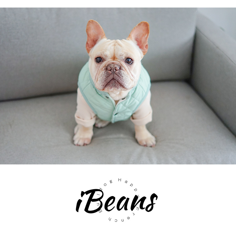 Quần áo chiến đấu chó quần áo mùa thu và mùa đông ấm áp Ba Ge Keji Teddy quần áo thú cưng dày bông vest vest - Quần áo & phụ kiện thú cưng phu kien cho meo
