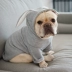 Chó thú cưng chiến đấu quần áo Keji Bago Teddy quần áo chó trung bình tai thỏ dễ thương phim hoạt hình mùa xuân và mùa thu quần áo - Quần áo & phụ kiện thú cưng