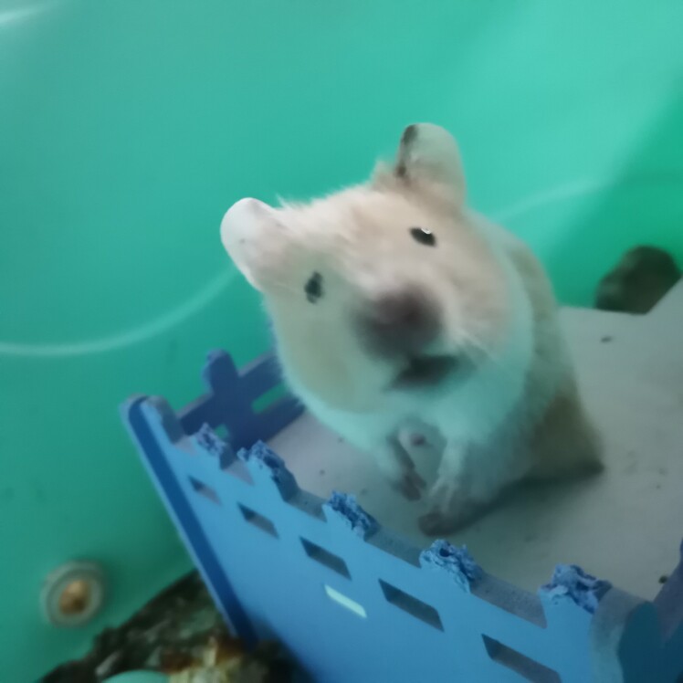 电器123456
