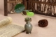 V Mini Vase Set (около 13 см в целом) бутылка+лист лотоса