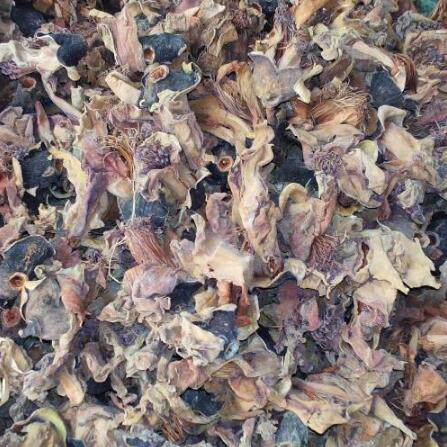 Wood cotton shoot 3 kg wood cotton dry wood cotton tea zebra Chinese medicine 500g g 10 yuan