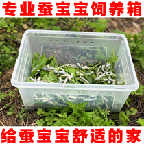 Primary school student silkworm treasure observation box Kun reptile snail scorpion guard box tortoise snake Spider horns baby amphibious box