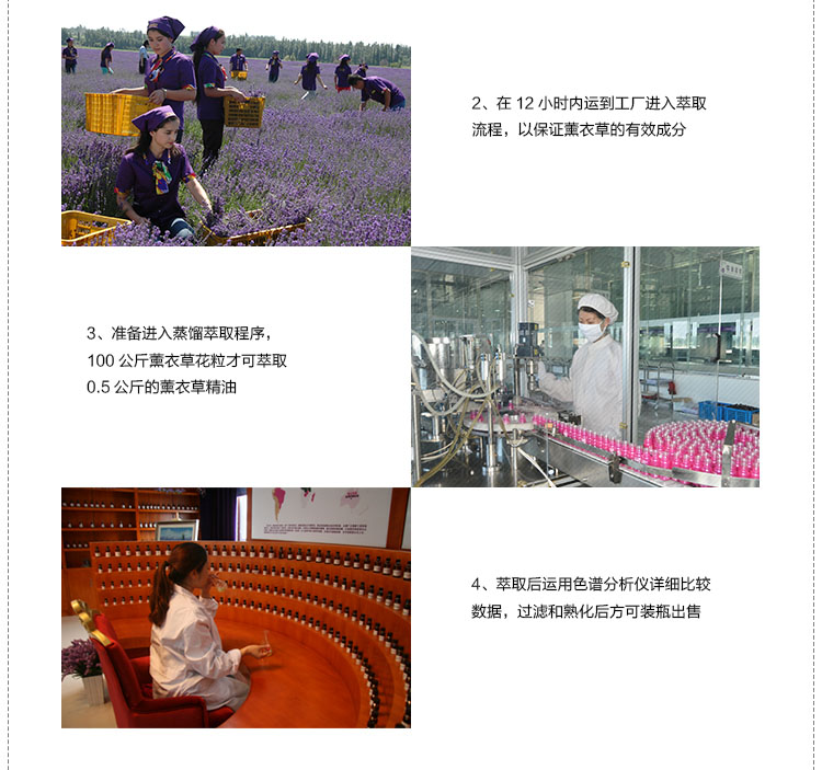 Tinh dầu dưỡng ẩm Ipar Khan Beauty Tinh dầu oải hương Tinh dầu dưỡng ẩm cải thiện tinh dầu - Tinh dầu điều trị tinh dầu sả